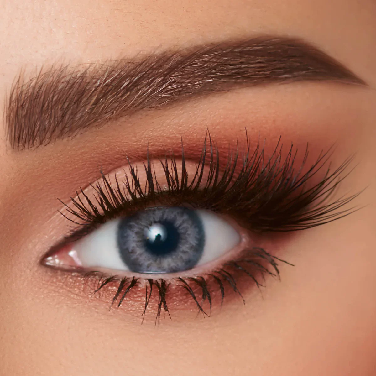 Lenses Color Snow Leopard B2