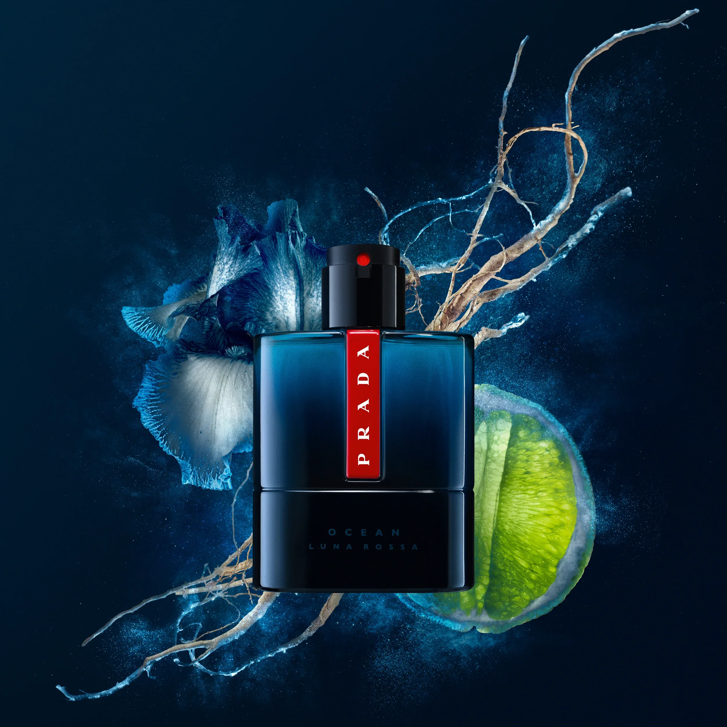 Luna Rosa Ocean - Image 4