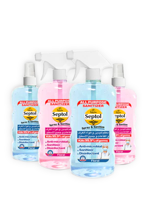 Sanitizer Spray